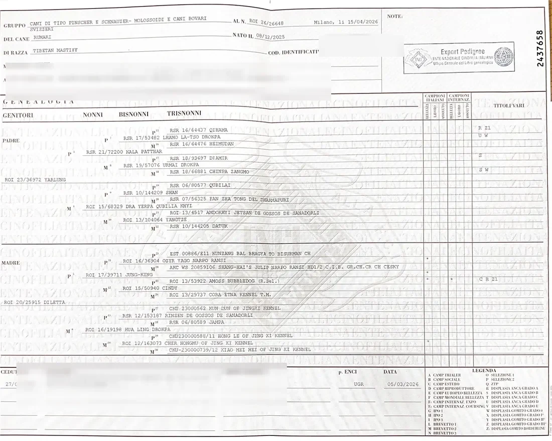 Pré-visualização do certificado de pedigree de Rumari