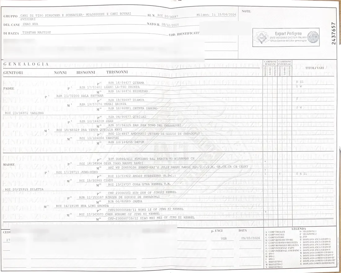 Pré-visualização do certificado de pedigree de Shaohua