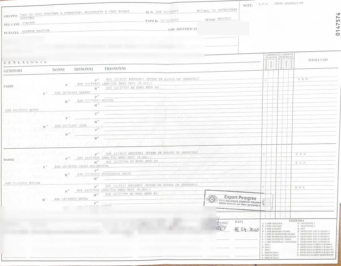Pré-visualização do certificado de pedigree de Vicente